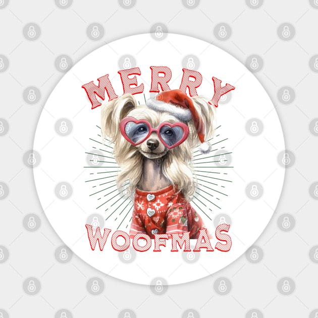 Funny Chinese Crested Dog Santa  Christmas Design Magnet by Tintedturtles